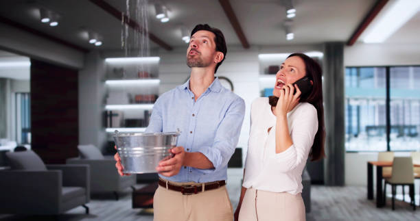 Best Water damage cleanup near me  in Colfax, IA